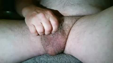 free_amos online show from July 7, 2026, 6:47 am