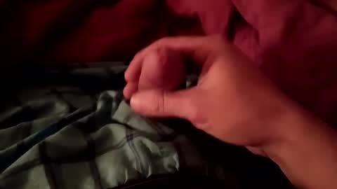 Snapshot of freebird12323 chatting on January 26, 2025, 11:17 am freebird12323 online show from January 26, 2025, 11:17 am