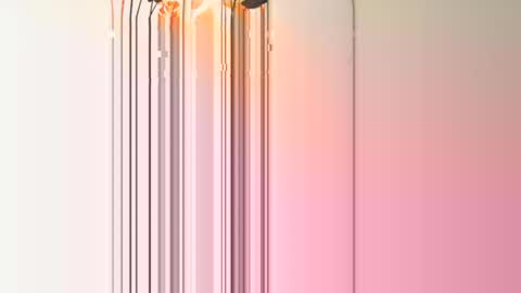 frenchcouple739 online show from December 13, 2024, 4:38 pm