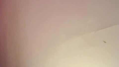 FREYJA LOREN online show from February 25, 2025, 8:09 pm