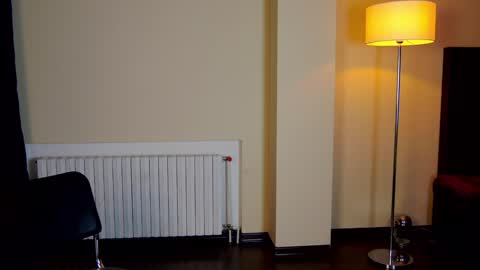 Snapshot of friend123211 chatting on February 2, 2025, 3:32 am Viktor online show from February 2, 2025, 3:32 am