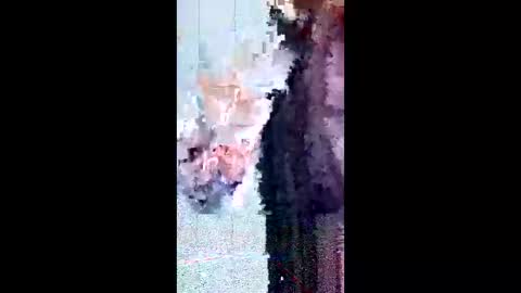 friendshipplus online show from February 3, 2026, 8:08 am