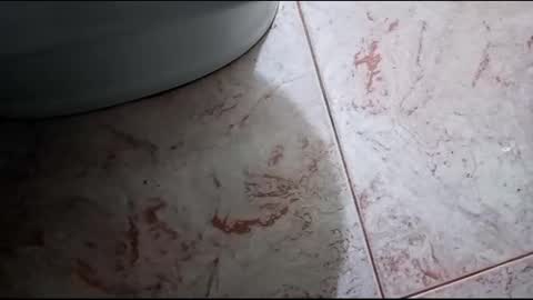 Snapshot of fronion chatting on February 23, 2025, 2:25 pm Hornycouple1386 online show from February 23, 2025, 2:25 pm