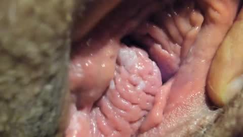 Snapshot of frumcake chatting on January 4, 2025, 1:10 am FrumCake online show from January 4, 2025, 1:10 am