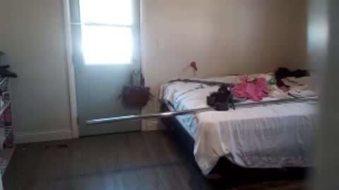 fuckroundfindout513116 online show from January 29, 2025, 5:35 pm