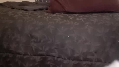 Pizzaz online show from January 14, 2025, 7:06 am