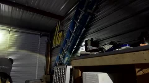 fun2bemade online show from November 2, 2025, 3:53 am