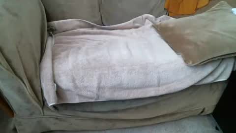 Snapshot of funlovinchub chatting on February 8, 2026, 6:33 pm funlovinchub online show from February 8, 2026, 6:33 pm