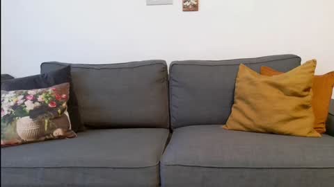 funservice online show from December 17, 2024, 9:17 am