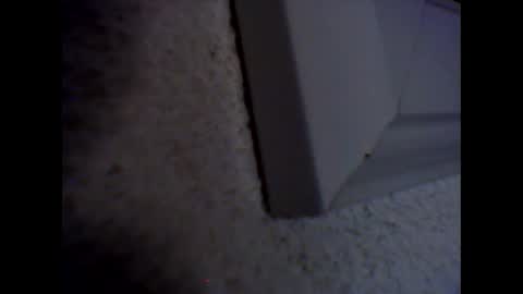 furcoatslave online show from December 3, 2024, 9:01 pm