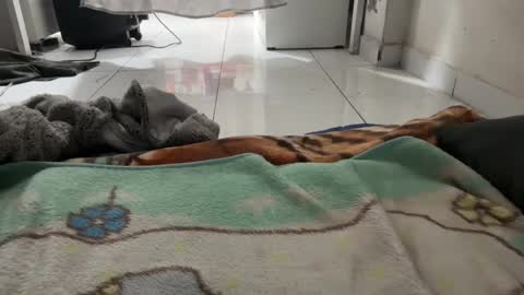 gab021593 online show from January 8, 2026, 1:57 pm