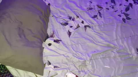 Snapshot of gabriel_olx chatting on March 16, 2026, 5:44 am gabriel online show from March 16, 2026, 5:44 am