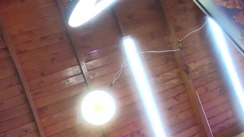 Snapshot of gabriela_leone chatting on October 1, 2025, 7:09 pm gabriela online show from October 1, 2025, 7:09 pm