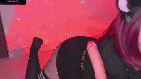 PROXIMO SHOW NOVIEMBRE 16   NEXT SHOW NOVEMBER  16    online show from January 6, 2025, 2:48 am