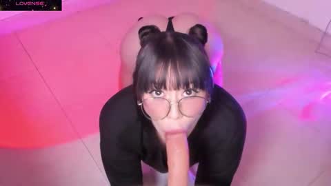 PROXIMO SHOW NOVIEMBRE 16   NEXT SHOW NOVEMBER  16    online show from October 21, 2025, 12:11 am