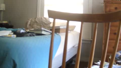 Snapshot of gallo902 chatting on February 13, 2026, 2:46 pm gallo902 online show from February 13, 2026, 2:46 pm