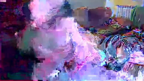 gatitosum32 online show from December 25, 2024, 4:44 am