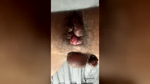 gaygayprolapse online show from August 3, 2026, 4:11 am