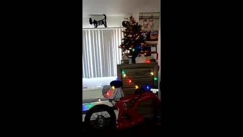 Zanecubano online show from December 4, 2025, 7:11 pm