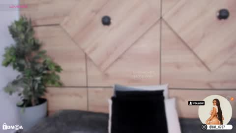    online show from January 24, 2025, 10:51 pm