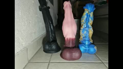 Snapshot of generalerectional chatting on November 10, 2025, 10:36 am generalerectional online show from November 10, 2025, 10:36 am