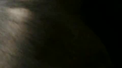 Snapshot of gericke218 chatting on June 9, 2026, 5:57 pm Ball-torture online show from June 9, 2026, 5:57 pm