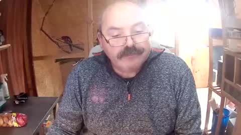 germany_50 online show from December 2, 2024, 11:34 am