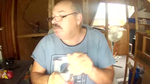 germany_50 online show from December 3, 2024, 7:32 am