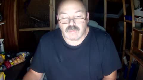 germany_50 online show from December 15, 2024, 4:37 pm