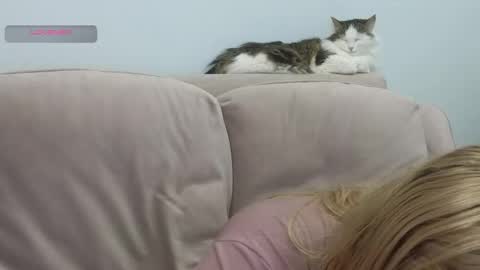 Gerta online show from February 20, 2026, 9:15 pm