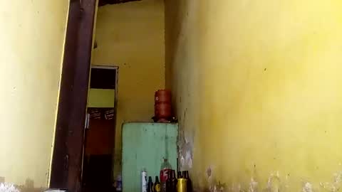 Gaby online show from October 13, 2025, 5:13 pm