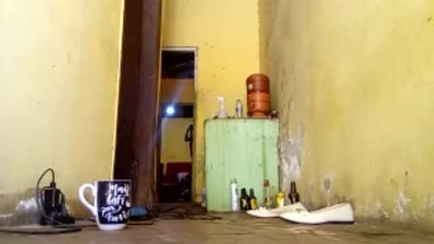 Gaby online show from October 21, 2025, 6:52 pm