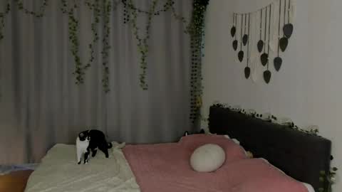 Gin online show from May 16, 2026, 6:43 am