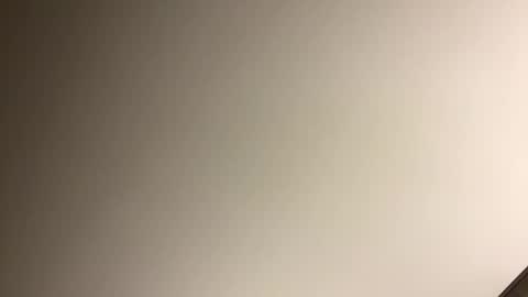 gingercockring online show from March 9, 2025, 7:12 am