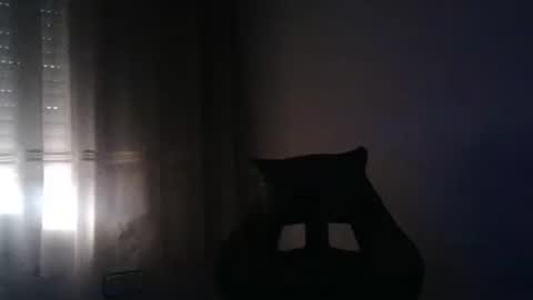 gioshadow online show from May 26, 2026, 3:52 pm