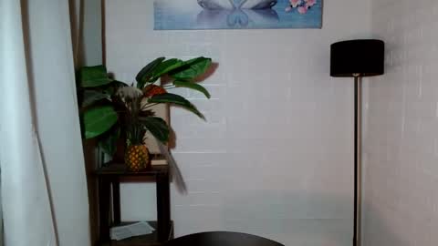 Snapshot of girlwhobelieveinmagic chatting on January 28, 2025, 4:18 am Callmenor online show from January 28, 2025, 4:18 am