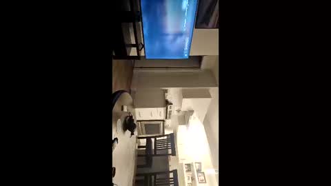 Snapshot of girthylax51 chatting on November 9, 2025, 3:49 am BIG K online show from November 9, 2025, 3:49 am