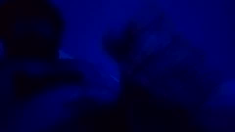 elen06 online show from December 15, 2025, 9:08 pm