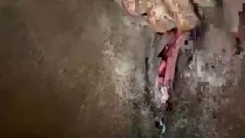 Snapshot of glazehoney chatting on October 28, 2025, 3:25 pm glazehoney online show from October 28, 2025, 3:25 pm