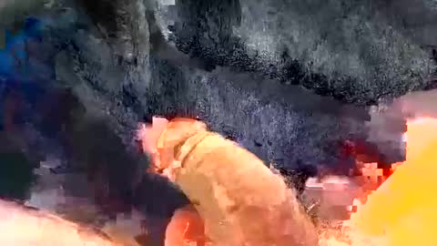 Gman online show from December 30, 2024, 3:25 am