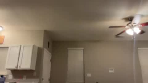 Princess Miila  BBC Daddy online show from January 6, 2025, 10:24 am