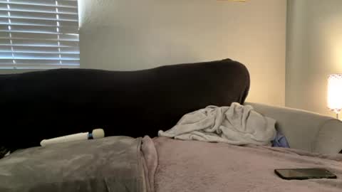 Snapshot of goddessmayvn chatting on July 2, 2026, 2:33 am GoddessMayvn online show from July 2, 2026, 2:33 am