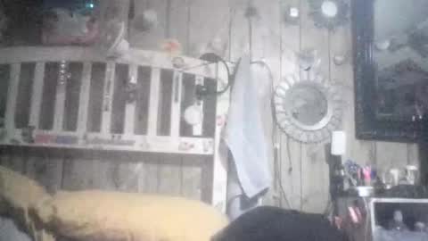 Celeste online show from January 17, 2026, 8:41 am