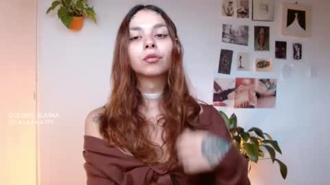 Alaska online show from November 11, 2025, 11:54 am