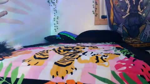 XxPretentious PeachxX online show from June 11, 2026, 8:51 pm