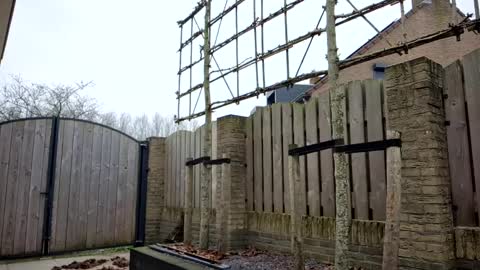   online show from February 10, 2025, 10:09 am