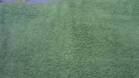 goodfishing online show from November 1, 2025, 12:01 am