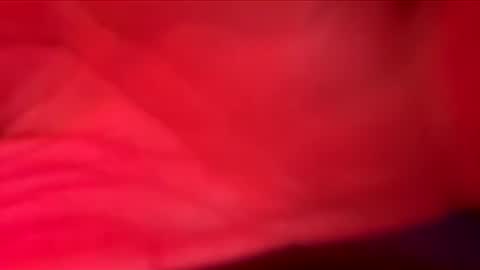 Snapshot of goonerotica006 chatting on May 8, 2026, 7:36 am goonerotica006 online show from May 8, 2026, 7:36 am