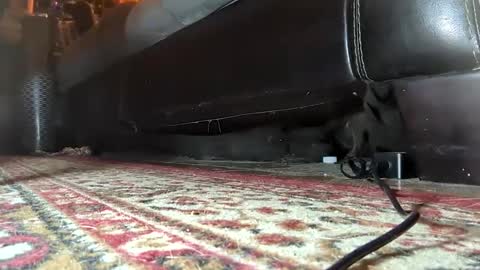 Mistress  Mommy  Godess online show from January 25, 2025, 7:17 am