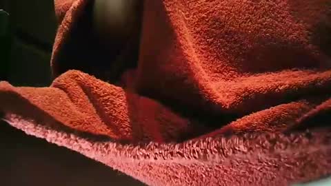 Snapshot of grapefruit chatting on March 1, 2025, 9:59 pm grapefruit online show from March 1, 2025, 9:59 pm